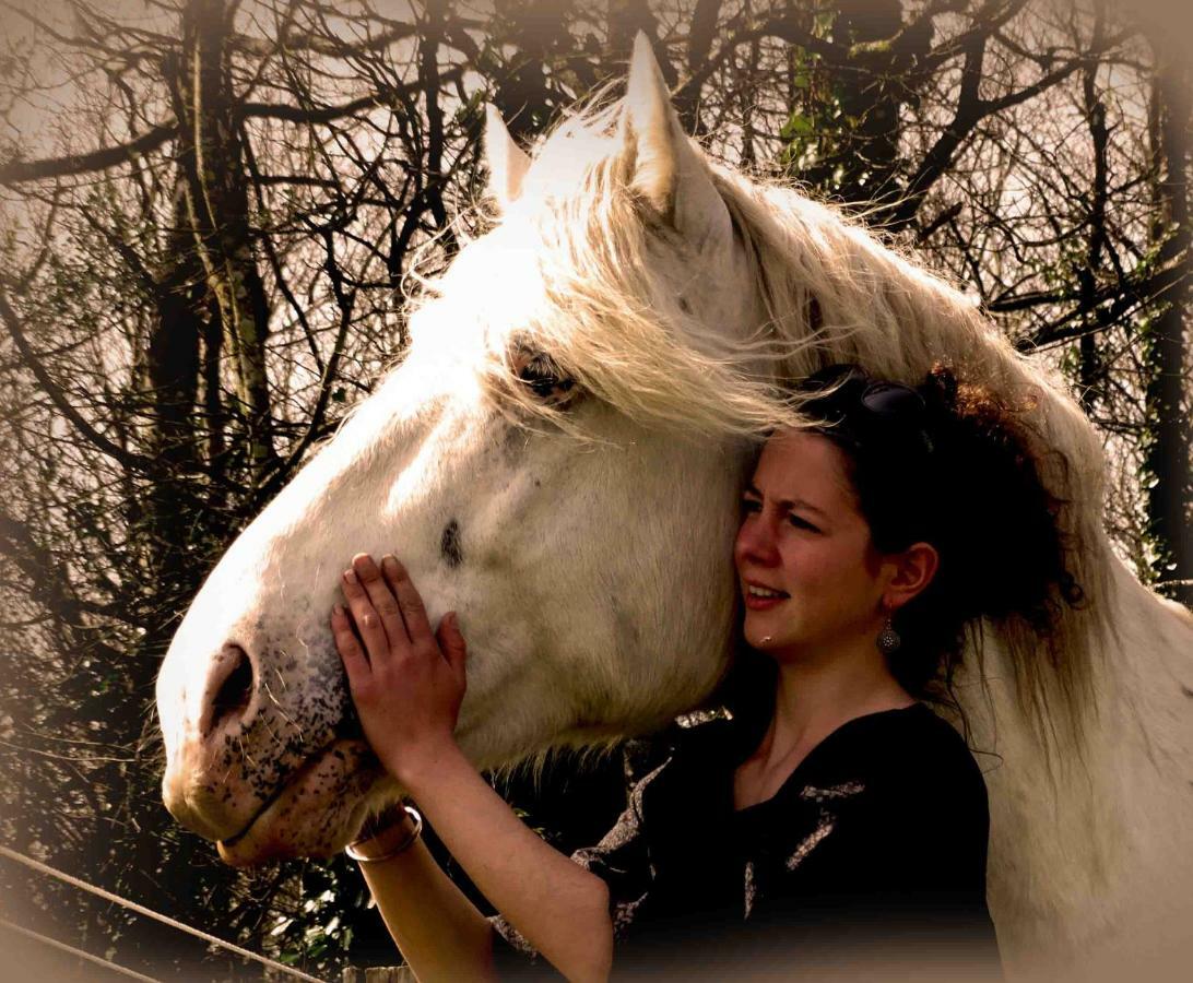 Treffléan Une Roulotte Et Des Chevaux מראה חיצוני תמונה